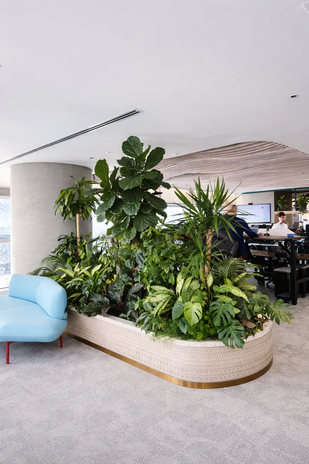 Workplace planting
